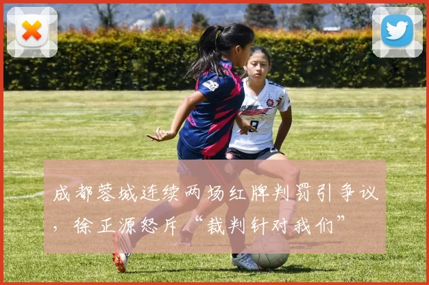 成都蓉城连续两场红牌判罚引争议,徐正源怒斥“裁判针对我们”